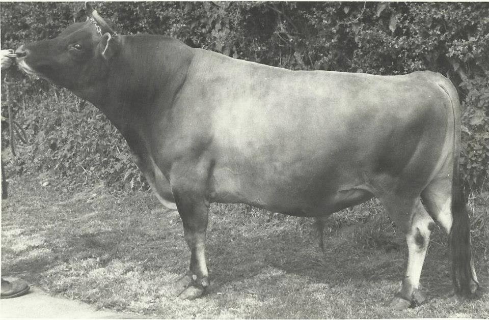 10922507_501643483307669_7425954959447619684_n-2