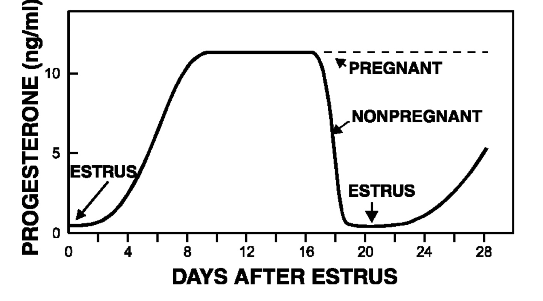 screen-shot-2017-03-06-at-11-49-39-am